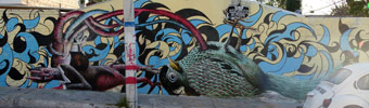 jajaja | bird | mexico (17 votes)
