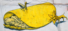 liqen | yellow | spring11 | mexico (120 votes)