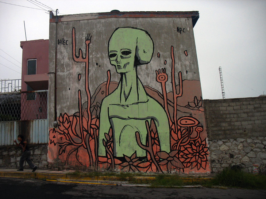 mecamutanterio | mexico