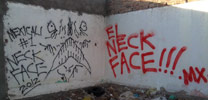 neckface | mexico (14 votes)
