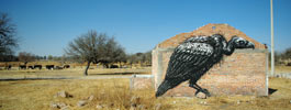 roa | bird | mexico (37 votes)