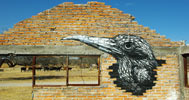 roa | bird | mexico (30 votes)
