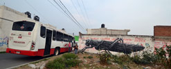 roa | cholula | mexico (10 votes)