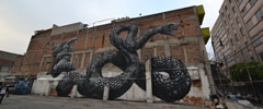 roa | snake | mexico (13 votes)