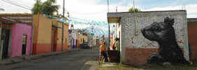 roa | mexico (28 votes)