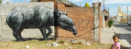 roa | mexico (41 votes)