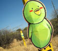 sencer | green | bird | mexico (16 votes)