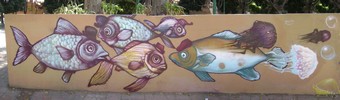 senkoe | fish | mexico (17 votes)