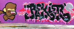 stnk | rekier | purple | mexico (24 votes)
