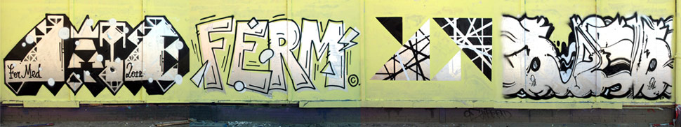 late | ferm | graphic-surgery | erosie | netherlands