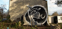 pinwin | bird | netherlands (22 votes)