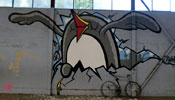 pinwin | bird | netherlands (24 votes)