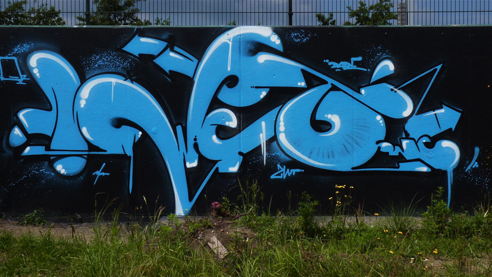 swet | blue | hague | netherlands