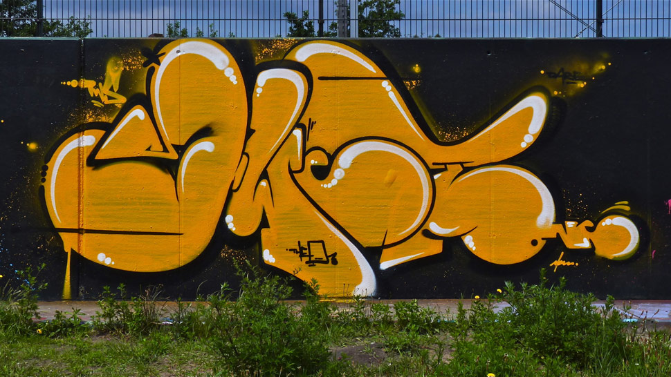 swet | hague | netherlands