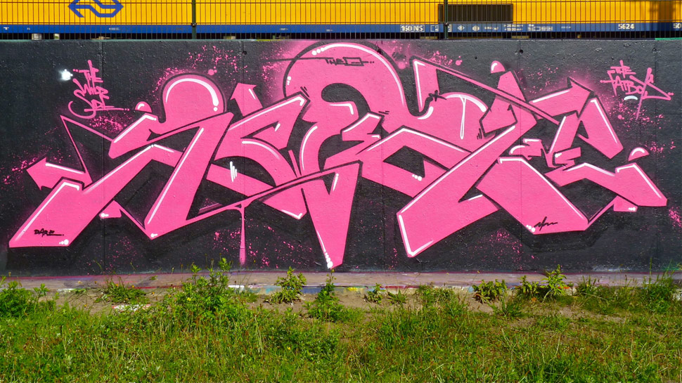 swet | pink | hague | netherlands