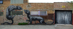 roa | chicago | north-america (23 votes)