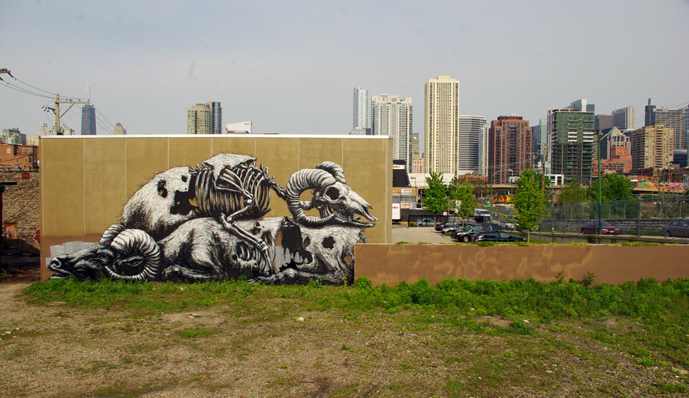 roa | chicago | north-america