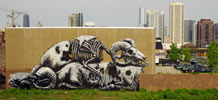 roa | chicago | north-america (21 votes)