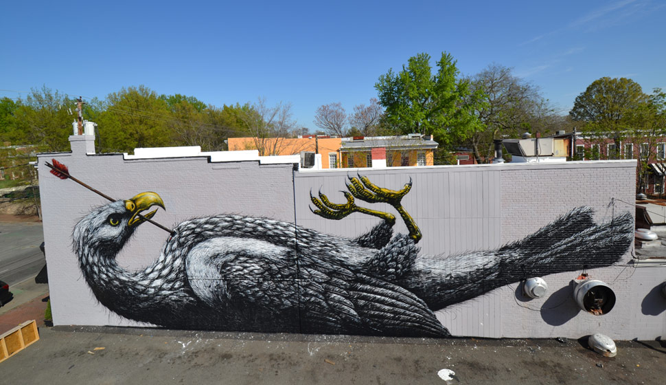 roa | bird | big | richmond | virginia | usa | north-america