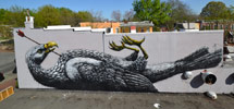 roa | bird | big | richmond | virginia | usa | north-america (10 votes)