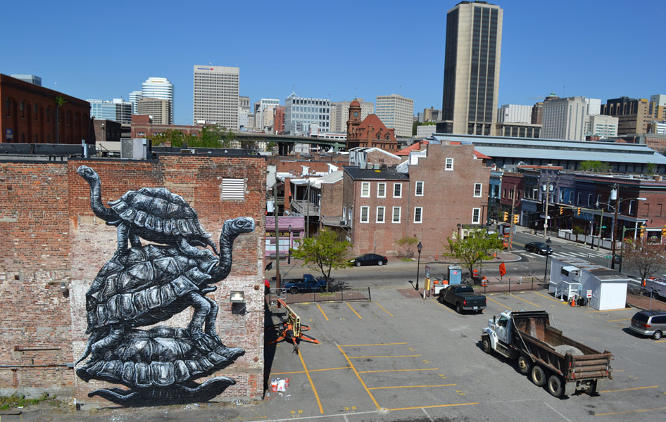 roa | turtle | richmond | virginia | usa | north-america