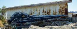 roa | usa | north-america (16 votes)