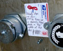 curly | text-message | philadelphia | usa | north-america (18 votes)