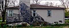 gaia | bird | usa | north-america (29 votes)