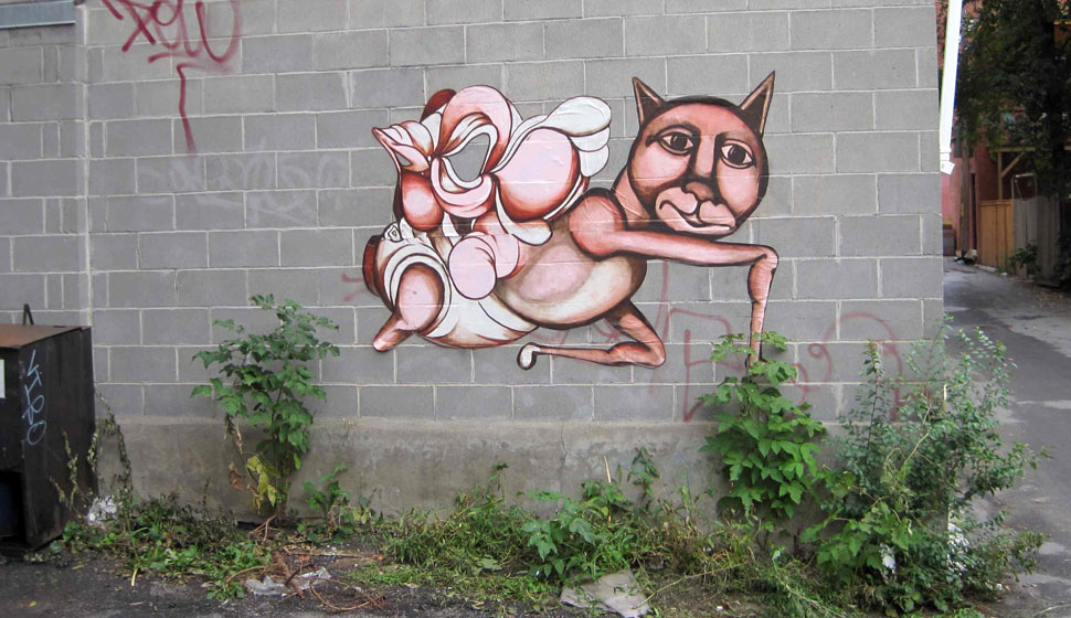 gawd | labrona | cat | canada | north-america