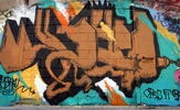 myshel | brown | ttcrew | montreal | canada | north-america (16 votes)