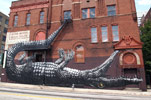 roa | crocodile | atlanta | north-america (30 votes)