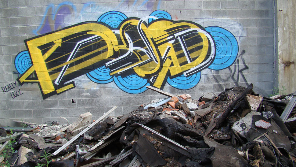 roid | yellow | detroit | usa | north-america