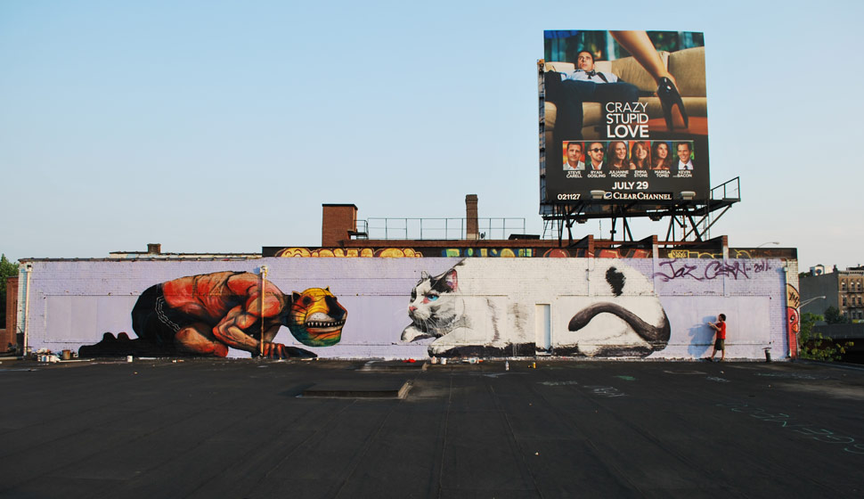 jaz | cern | cat | nyc