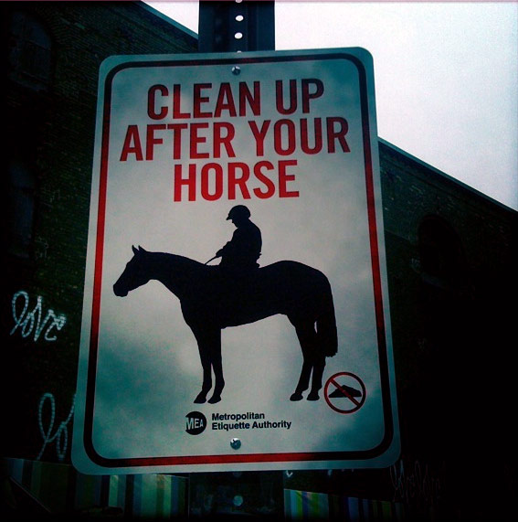 jason-shelowitz | horse | police | nyc