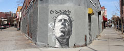ecb | portrait | grey | nyc (27 votes)