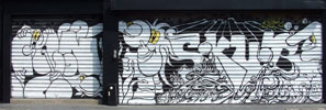 conie | skub | shutters | paris (20 votes)