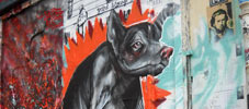 gorellaume | dog | paris (15 votes)