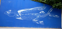 philippe-baudelocque | blue | fish | paris (29 votes)
