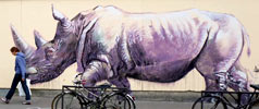 harry-james | purple | rhinoceros | paris (33 votes)