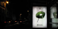 ludo | night | paris (13 votes)