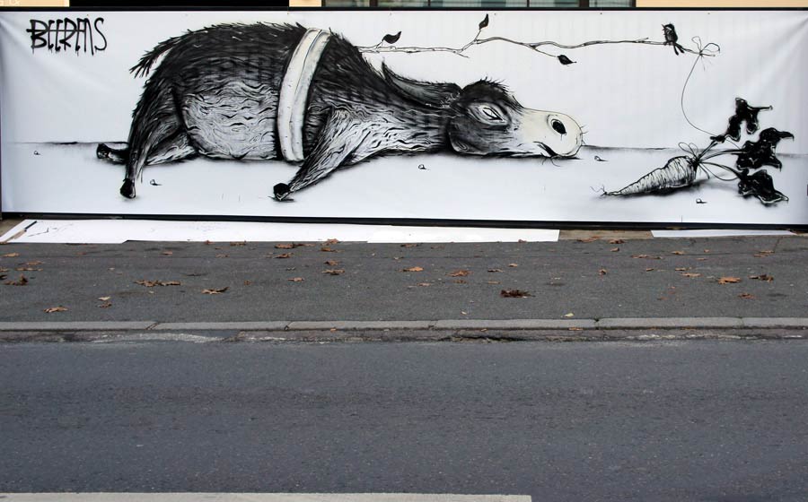 michael-beerens | donkey | paris