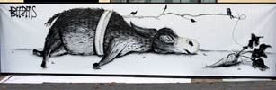 michael-beerens | donkey | paris (26 votes)