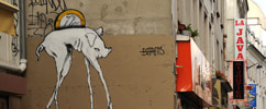 michael-beerens | pig | paris (19 votes)