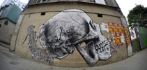 monsieurqui | skull | paris (17 votes)
