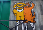 mrchat | guillaume | cat | orange | paris (28 votes)