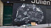 philippe-baudelocque | chalk | paris (11 votes)
