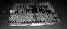 sean-hart | text-message | fuck-the-sandman | paris (18 votes)