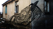 autone | poland (23 votes)