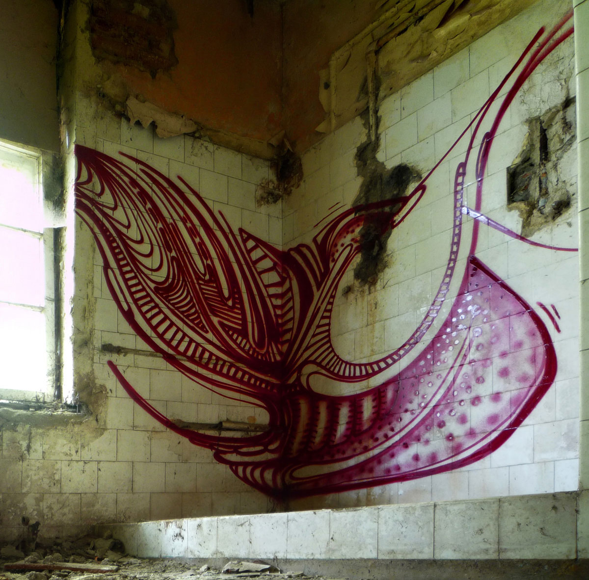 autone | poland