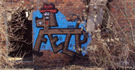 felto | dog | poland (41 votes)